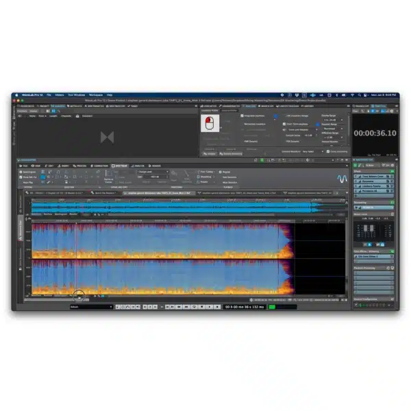 Steinberg WaveLab Pro 12