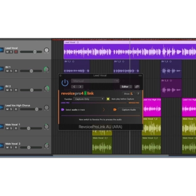 Synchro Arts ReVoice Pro 5