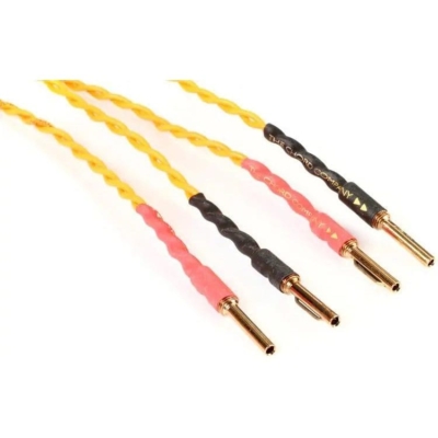 Amphion Speaker cable