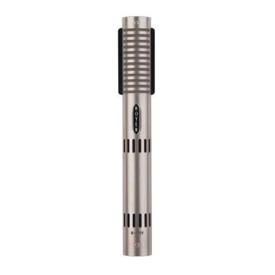 Royer R-122V Vacuum Tube Ribbon Microphone