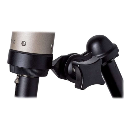 Royer Labs R-10 Studio/Live Ribbon Microphone