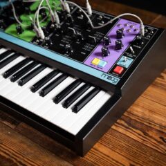 Moog Matriarch