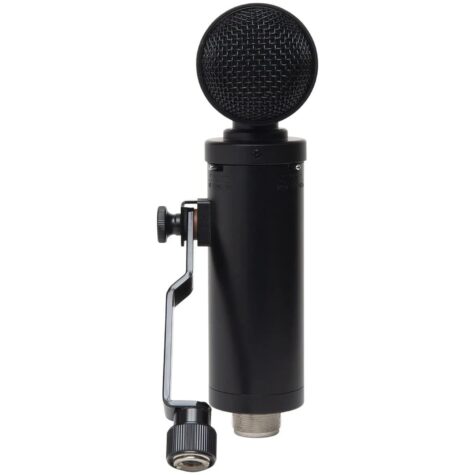 Lauten Audio LS-308