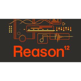reason_12