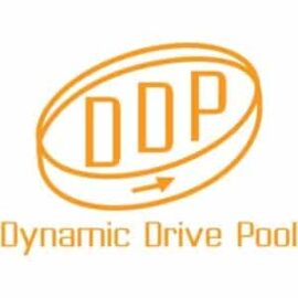 ddp logo
