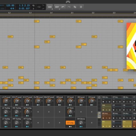 Bitwig Studio Producer