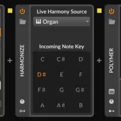 Bitwig Studio Producer