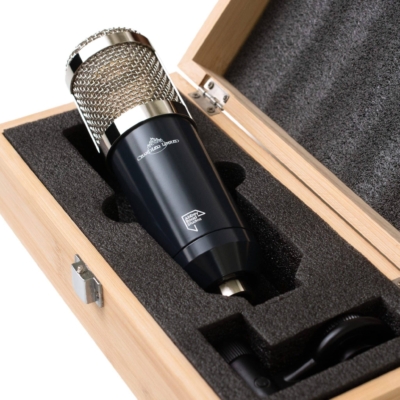 Chandler TG Microphone Type L