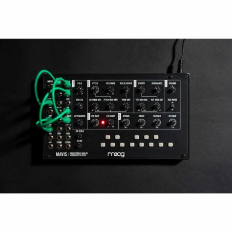 Moog Mavis