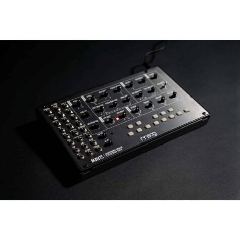 Moog Mavis
