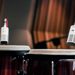 Universal Audio SD-7