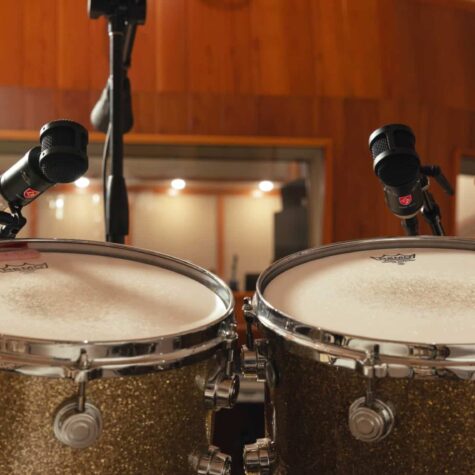 Lauten Audio Tom Mic