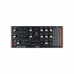 Moog Labyrinth