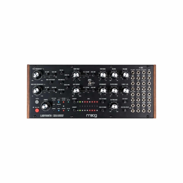 Moog Labyrinth