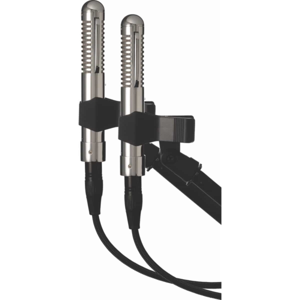 Warm Audio WA-2FT Stereo Pair
