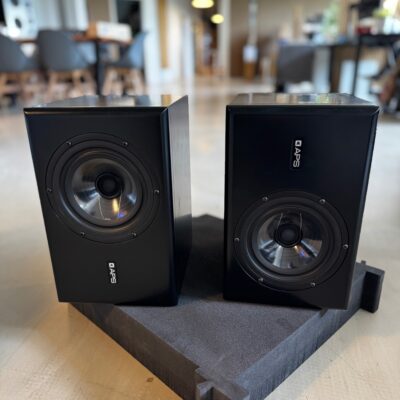 APS COAX MkI pair (brugt)