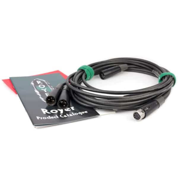 Royer Labs SF-12 Stereo Ribbon, Dual Small Light-Mass Ribbon Elements - Image 3