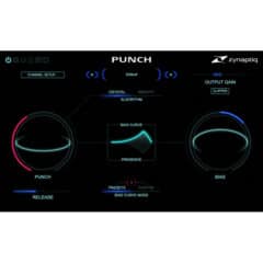 Zynaptiq Punch