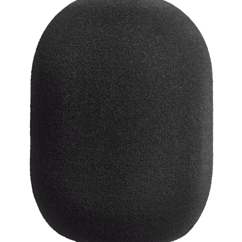 Neumann WS 87