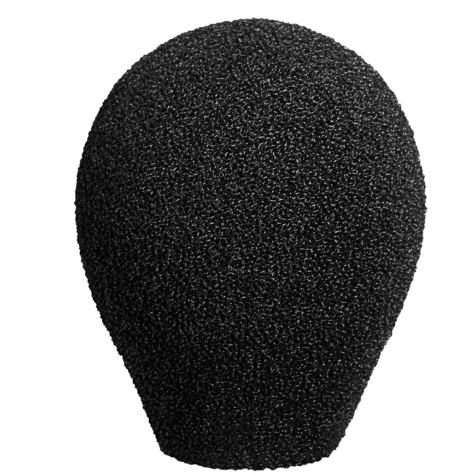 Neumann WNS 100