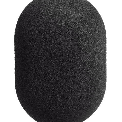 Neumann WS 89