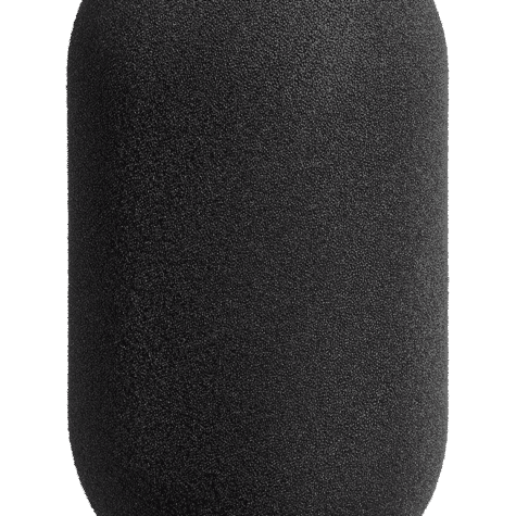Neumann WS 69