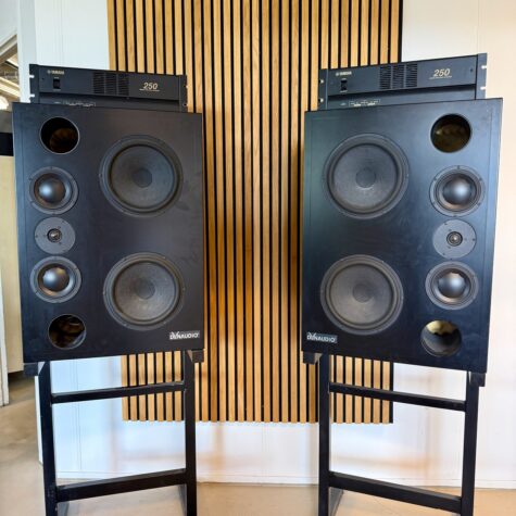 Dynaudio Custom Passive 3-Way Main Monitor System (used)