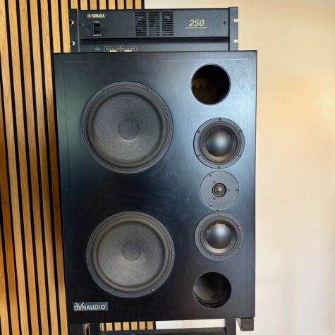 Dynaudio Custom Passive 3-Way Main Monitor System (used) - Billede 2